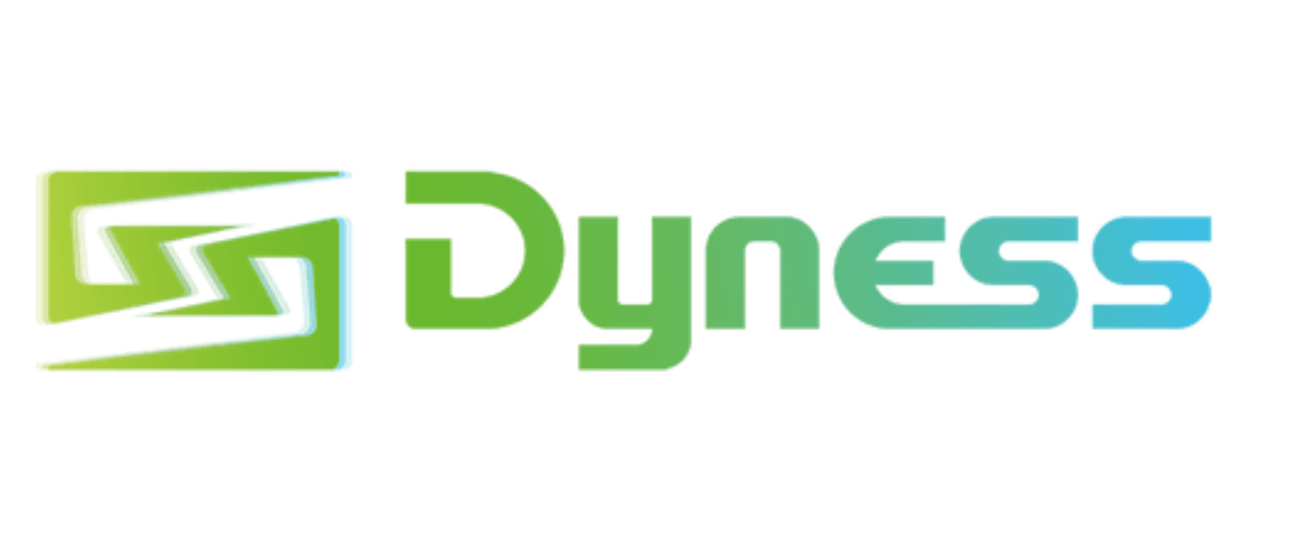 Dyness Logo New 2, Nanodomi